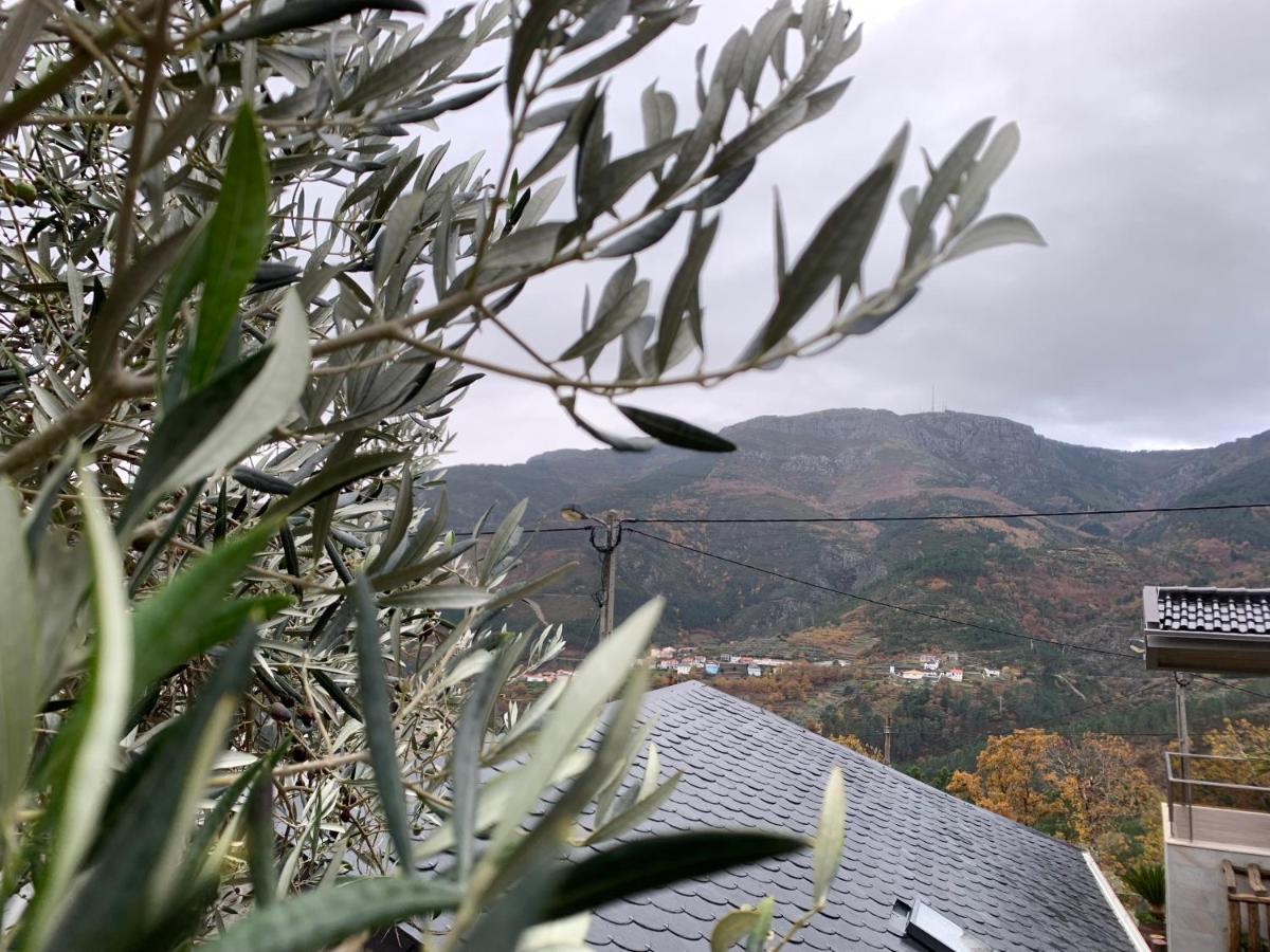 Casa Do Julien Mountain Experience Villa Vila Real Kültér fotó